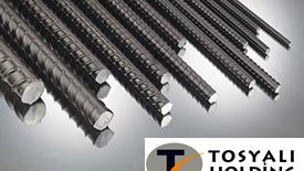 Tosyalı Holdingden Cezayire 500 Milyon Dolarlık Yatırım