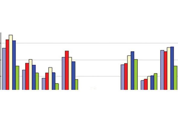 Global ve Çin Paslanmaz Çelik Endüstrisi Raporu